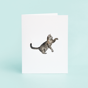 Cat Greeting Card