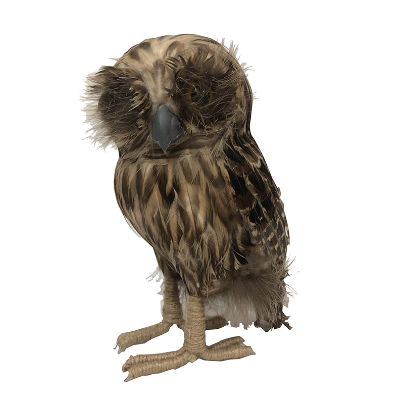 Feather Owls
