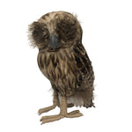 Feather Owls