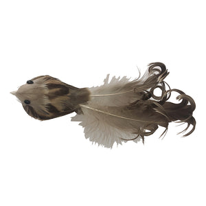 Feather Birds