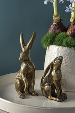 Brass Bunnies