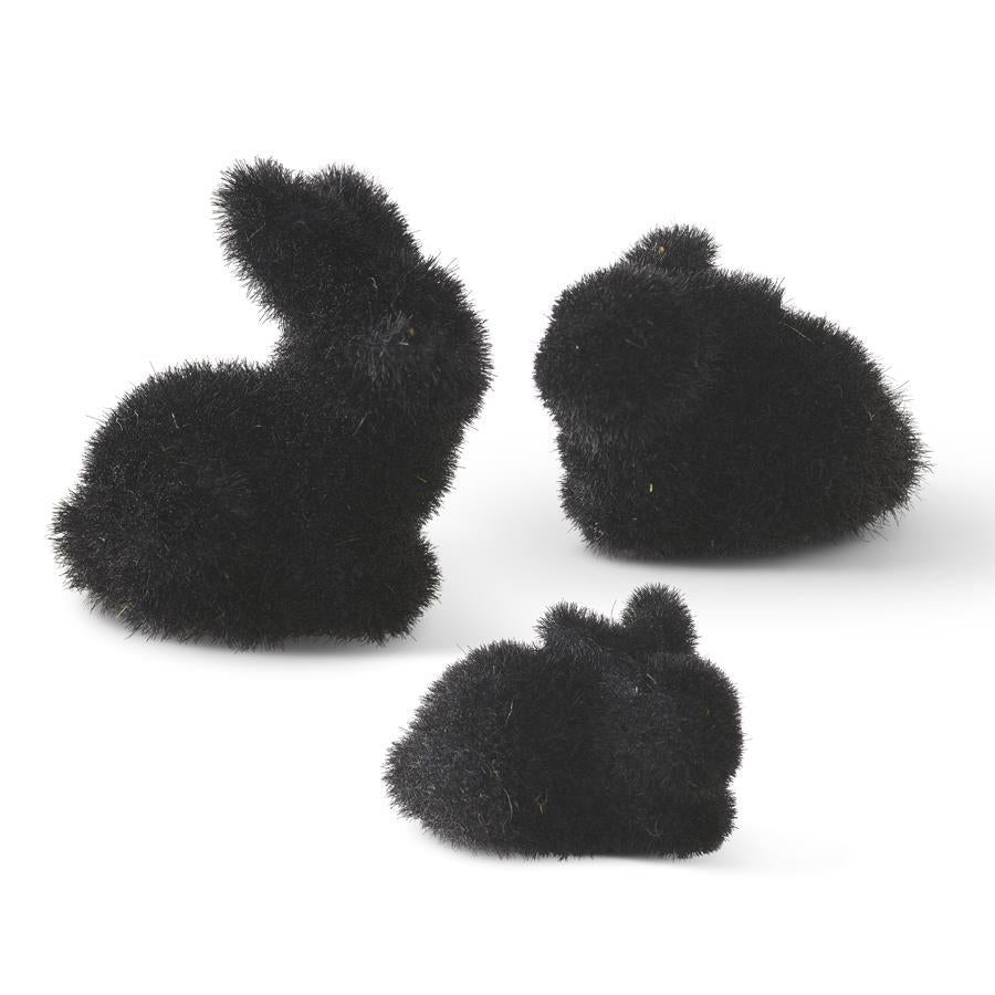 Baby Black Furry Bunnies
