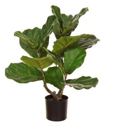 
            
                Load image into Gallery viewer, Faux  Fiddle Leaf Potted Plant
            
        