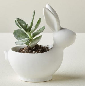 Bunny Bowl