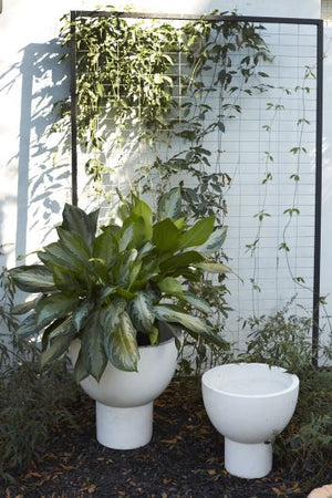 
            
                Load image into Gallery viewer, White Cement Planter
            
        